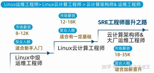 初學者入門 運維大數據處理與運維服務指南